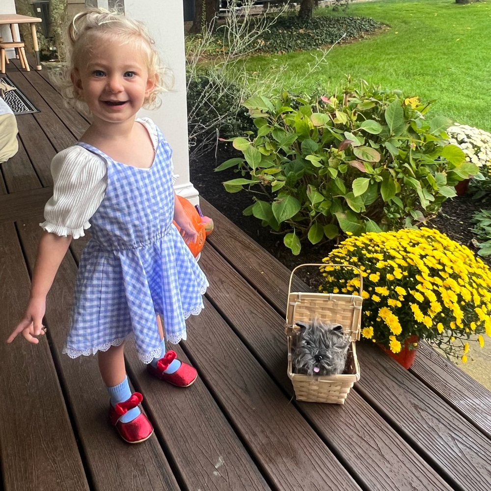 Wizard of Oz costume Dorothy and Toto